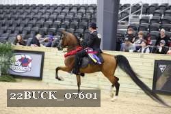 22BUCK_07601 proof