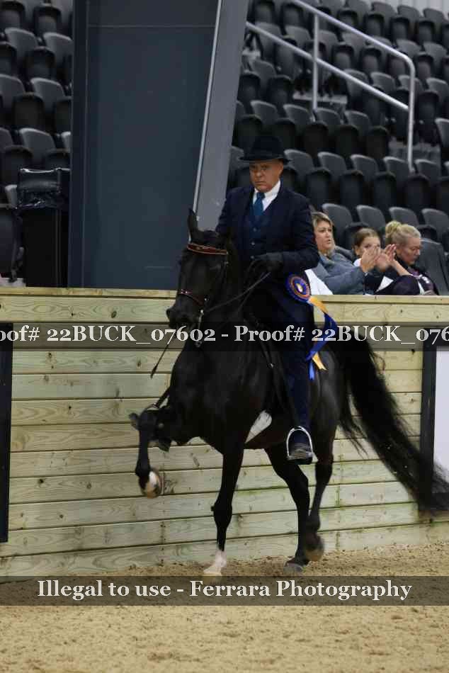 Proof 22BUCK_07602