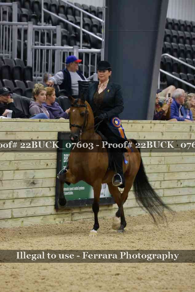 Proof 22BUCK_07603