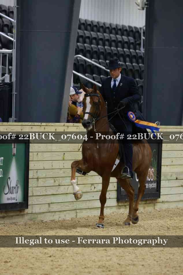 Proof 22BUCK_07604