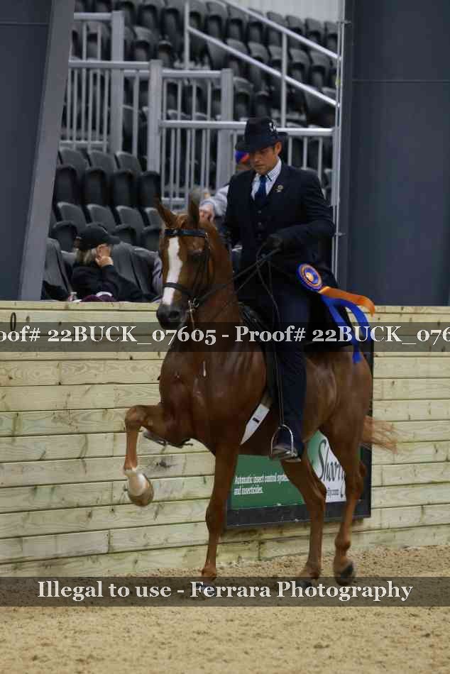 Proof 22BUCK_07605
