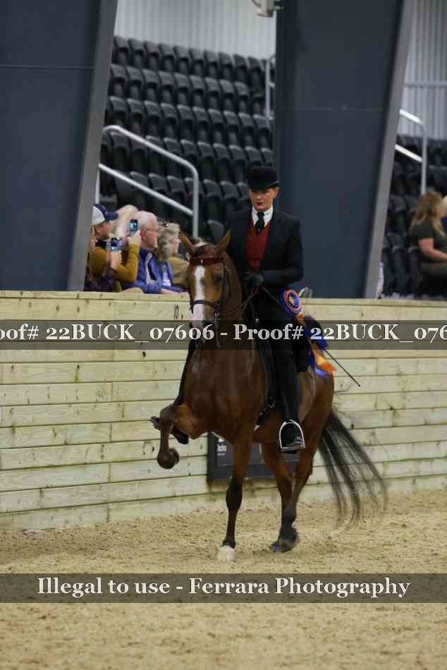 Proof 22BUCK_07606