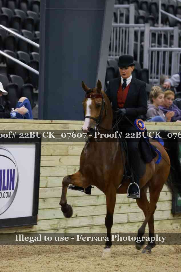 Proof 22BUCK_07607