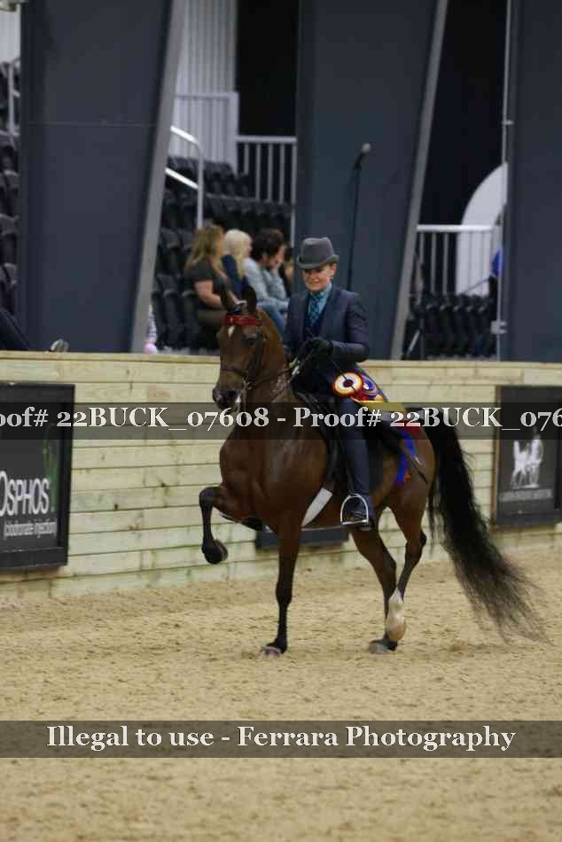 Proof 22BUCK_07608
