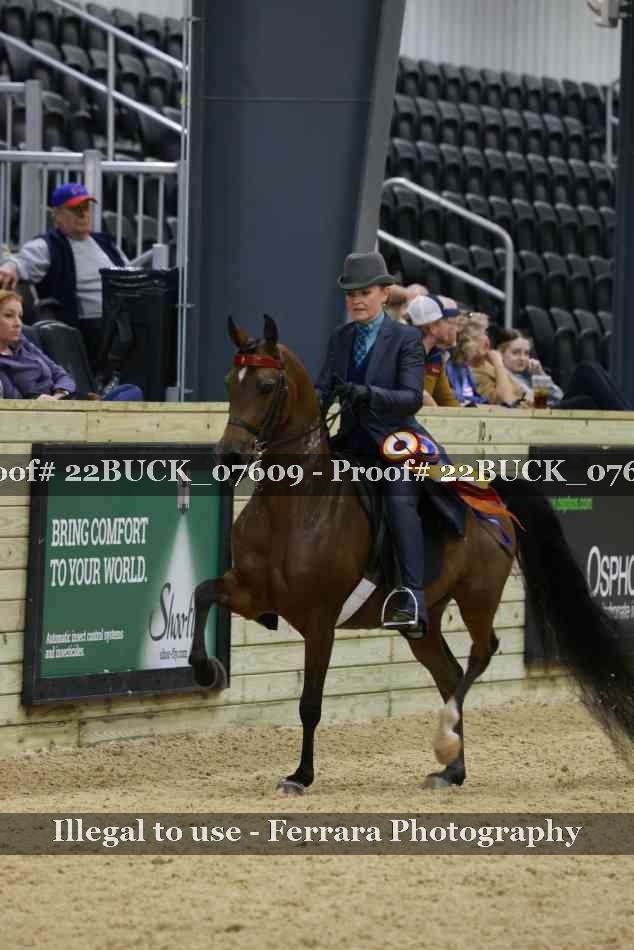 Proof 22BUCK_07609