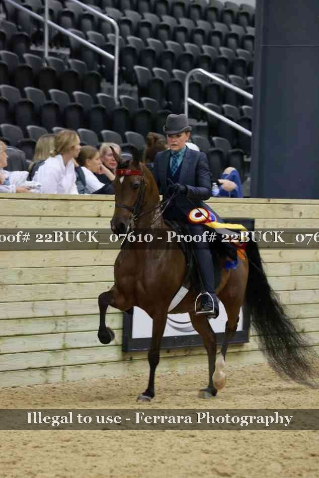 Proof 22BUCK_07610