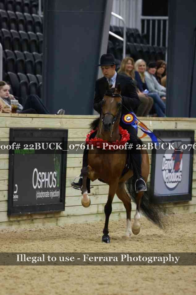 Proof 22BUCK_07611