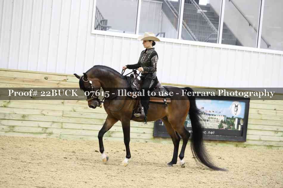 Proof 22BUCK_07615