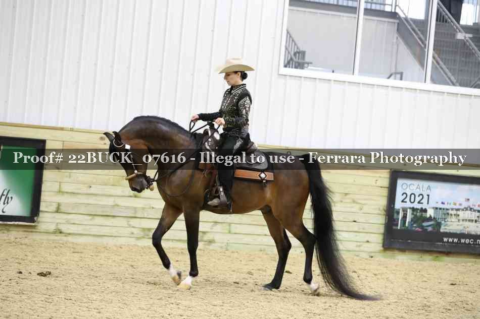 Proof 22BUCK_07616