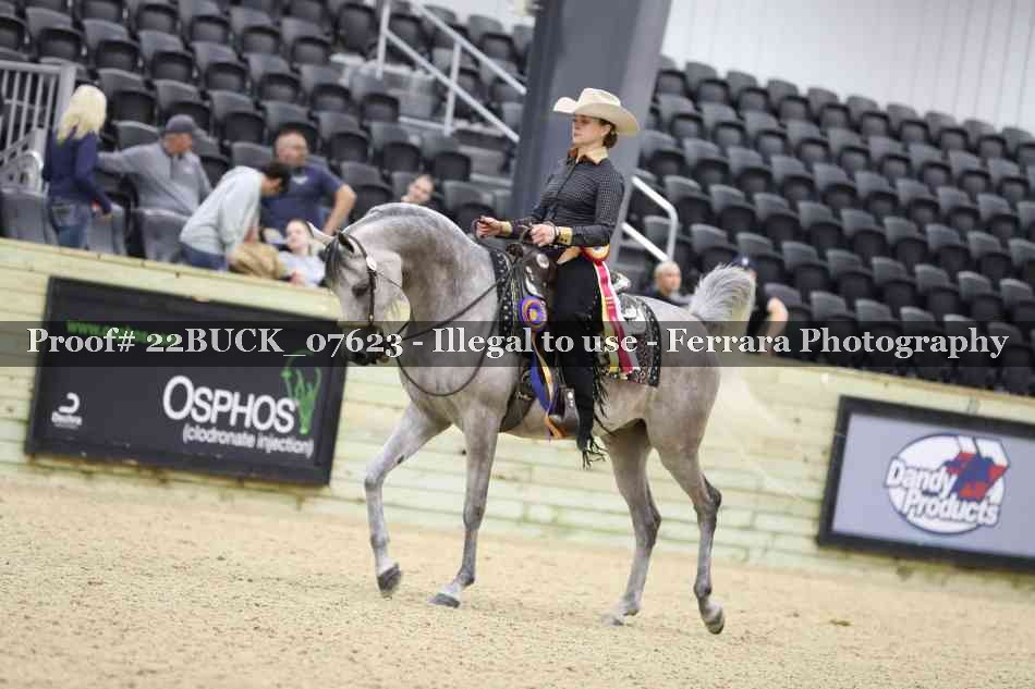 Proof 22BUCK_07623