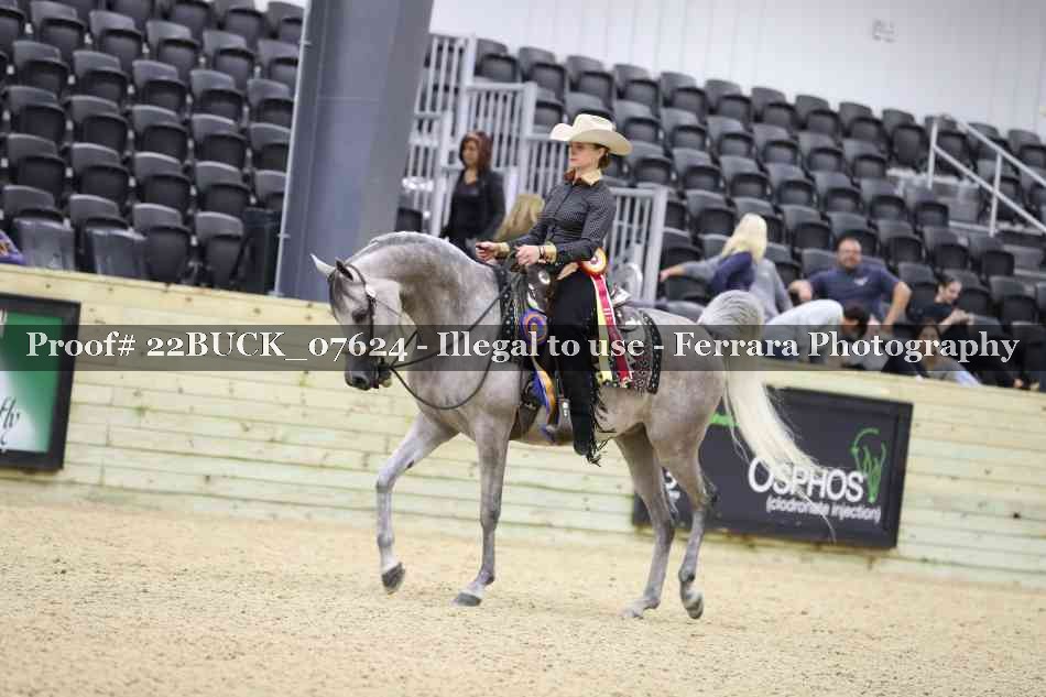 Proof 22BUCK_07624