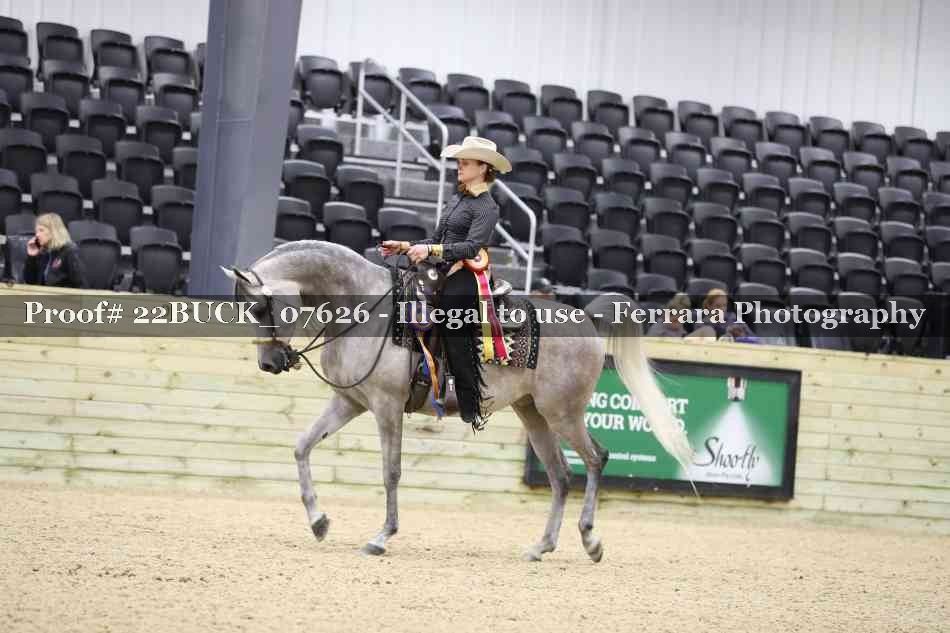 Proof 22BUCK_07626