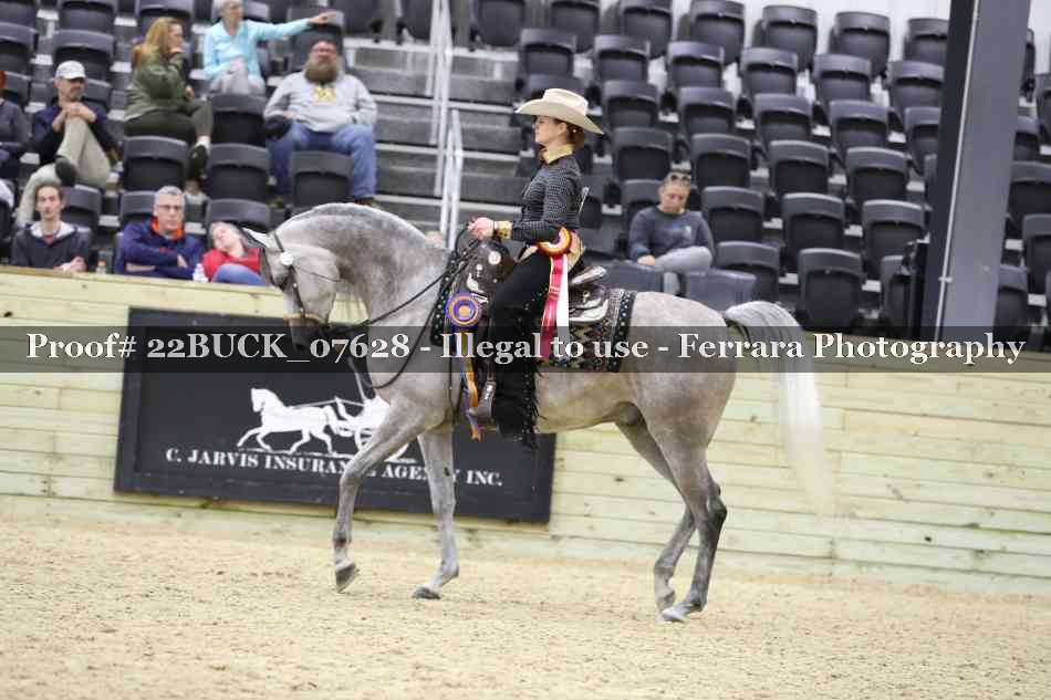 Proof 22BUCK_07628