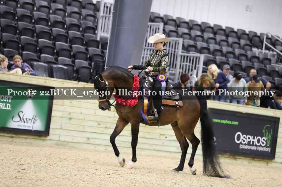 Proof 22BUCK_07630