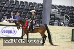 22BUCK_07634 proof