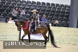 22BUCK_07635 proof