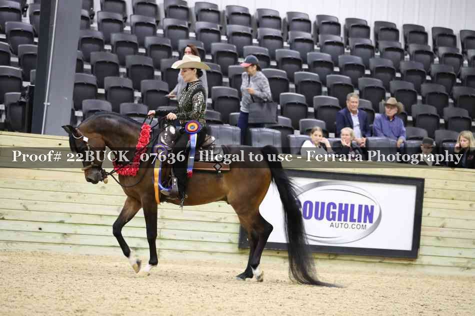 Proof 22BUCK_07636