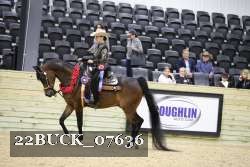 22BUCK_07636 proof
