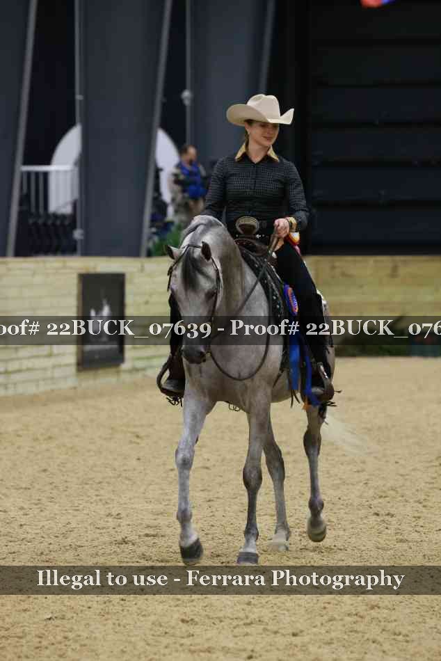 Proof 22BUCK_07639