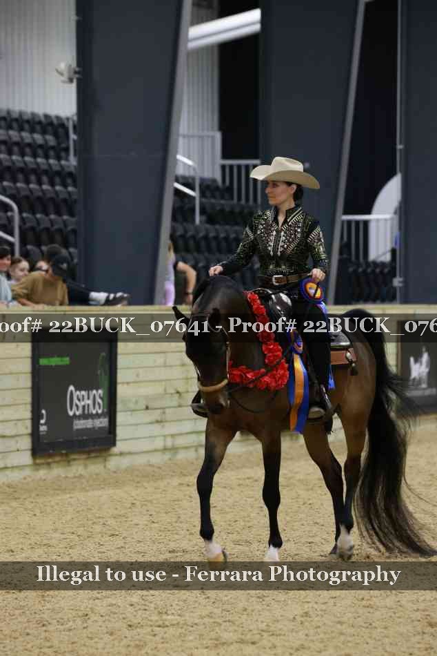 Proof 22BUCK_07641