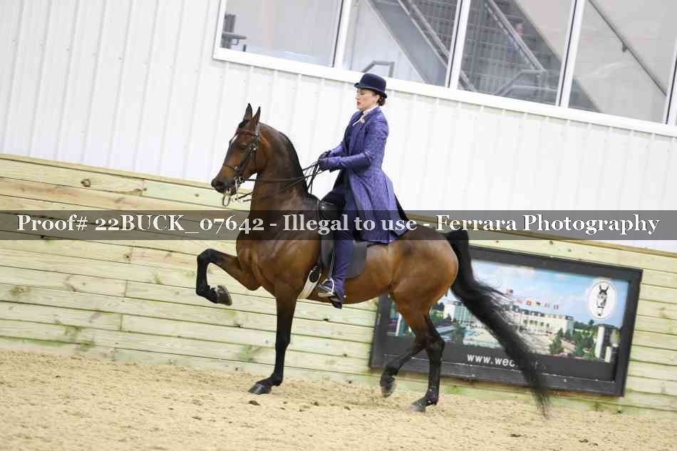Proof 22BUCK_07642