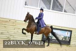 22BUCK_07642 proof