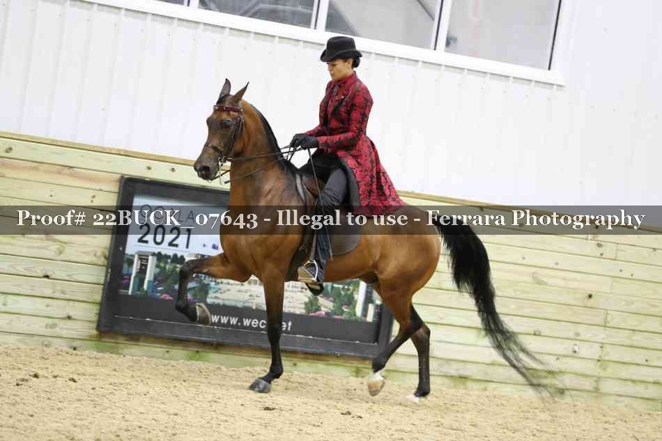 Proof 22BUCK_07643