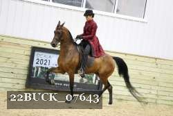 22BUCK_07643 proof