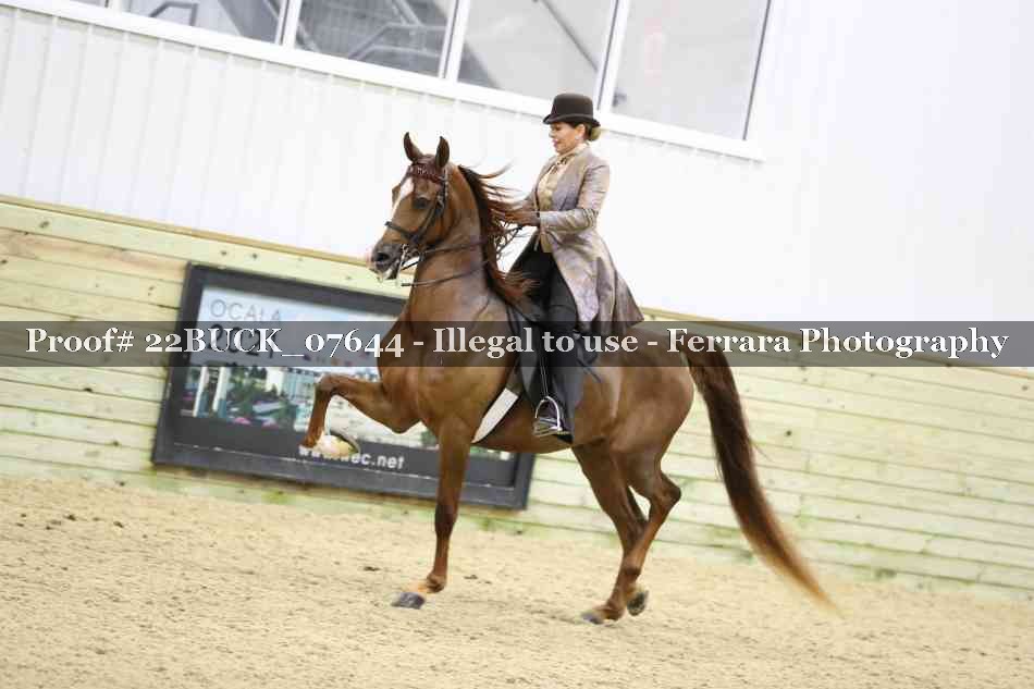 Proof 22BUCK_07644