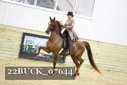 22BUCK_07644 proof