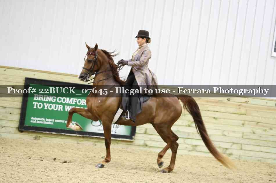 Proof 22BUCK_07645