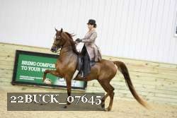 22BUCK_07645 proof