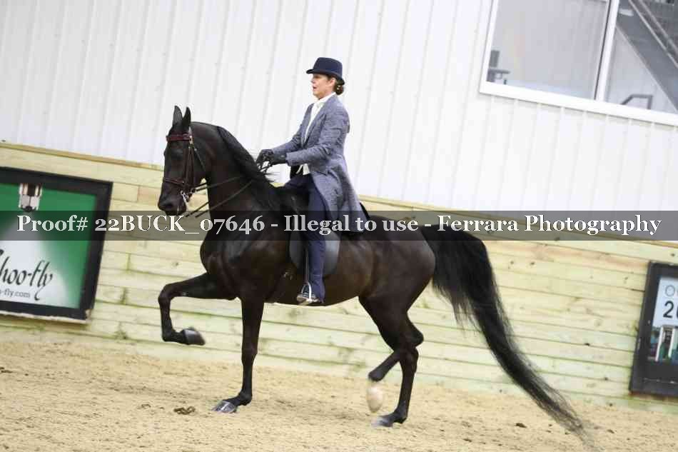 Proof 22BUCK_07646