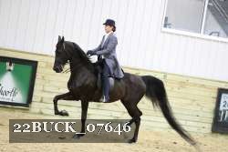 22BUCK_07646 proof