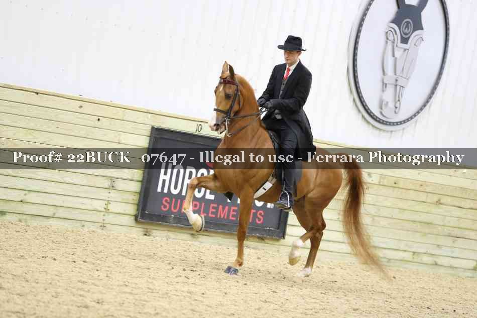 Proof 22BUCK_07647