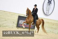 22BUCK_07647 proof