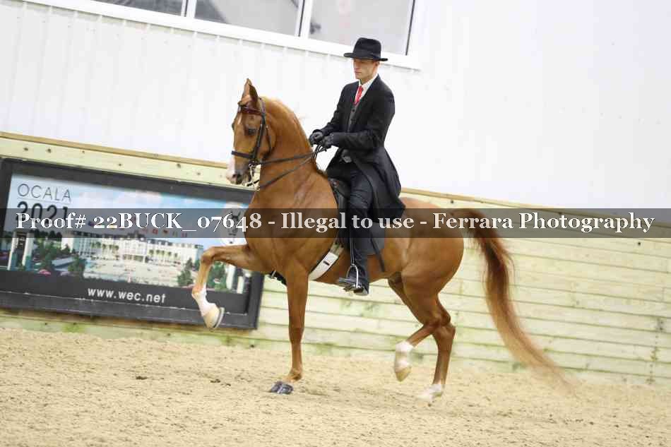 Proof 22BUCK_07648