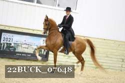 22BUCK_07648 proof