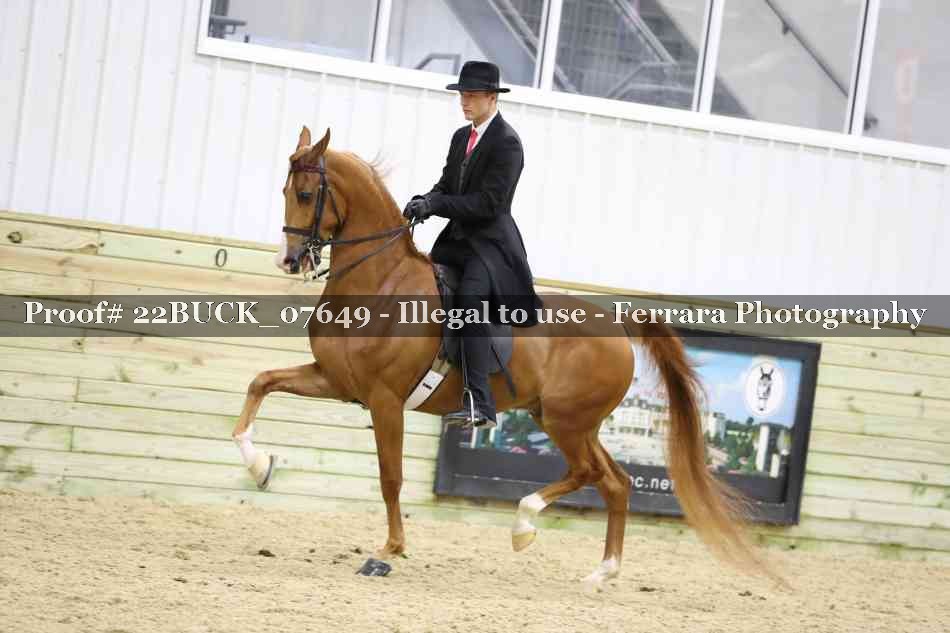 Proof 22BUCK_07649