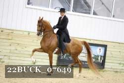 22BUCK_07649 proof