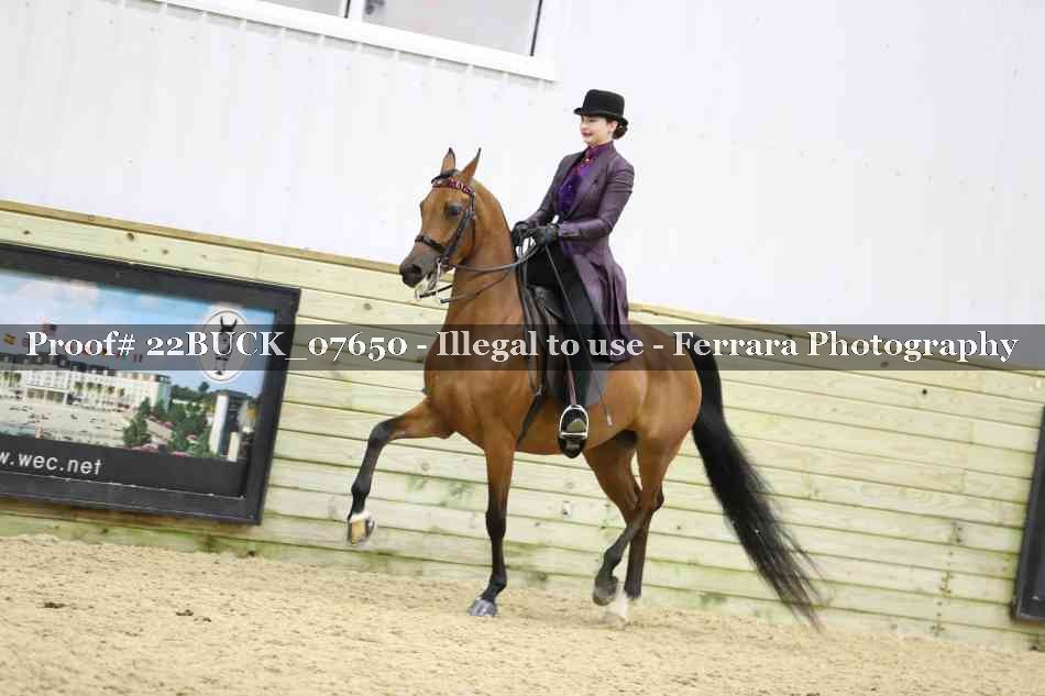Proof 22BUCK_07650