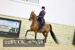 22BUCK_07650 proof