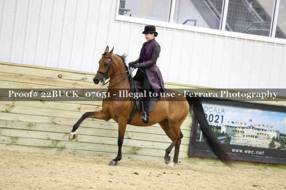 Proof 22BUCK_07651