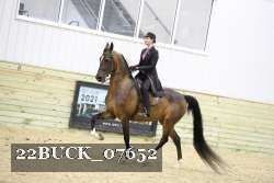 22BUCK_07652 proof