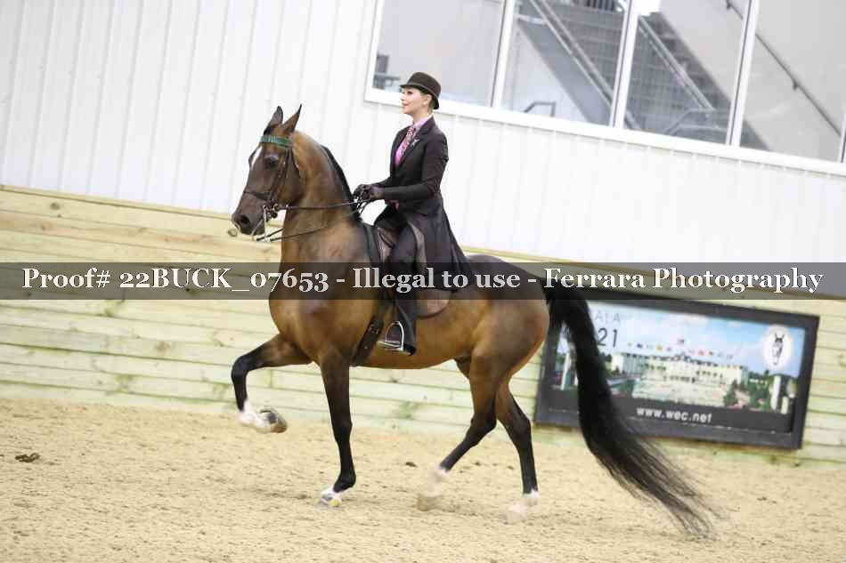Proof 22BUCK_07653