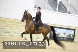 22BUCK_07653 proof