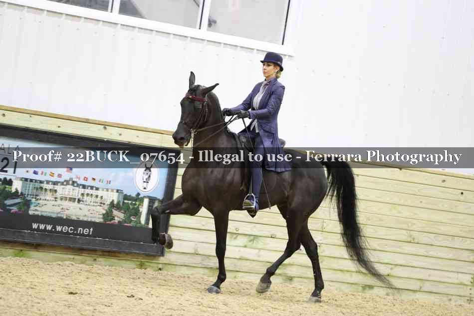 Proof 22BUCK_07654