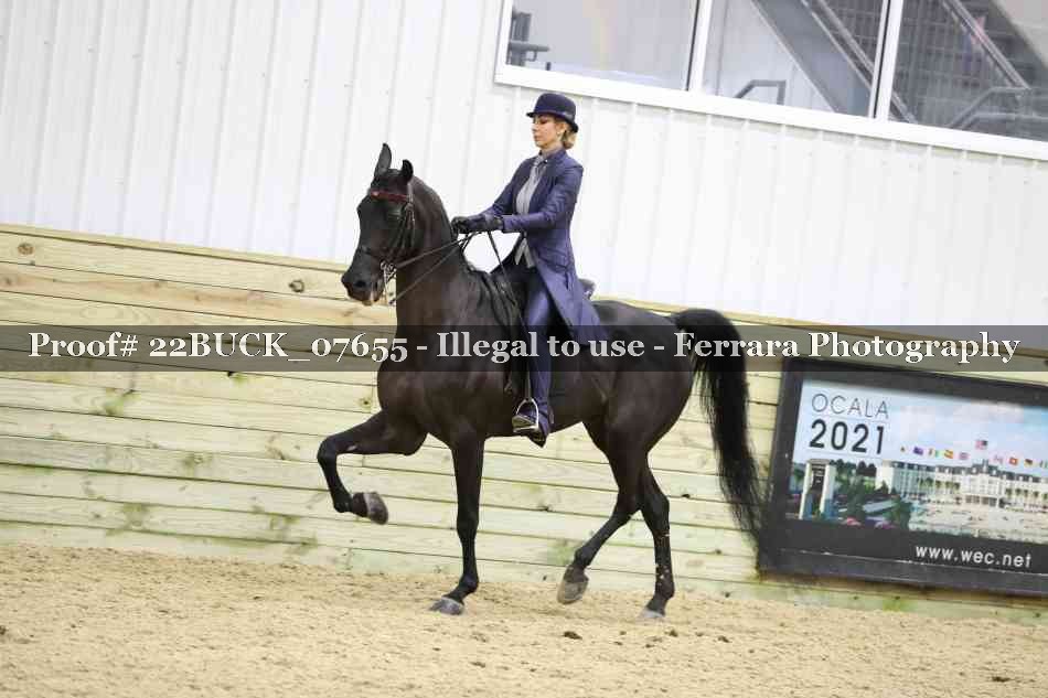 Proof 22BUCK_07655