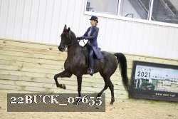 22BUCK_07655 proof