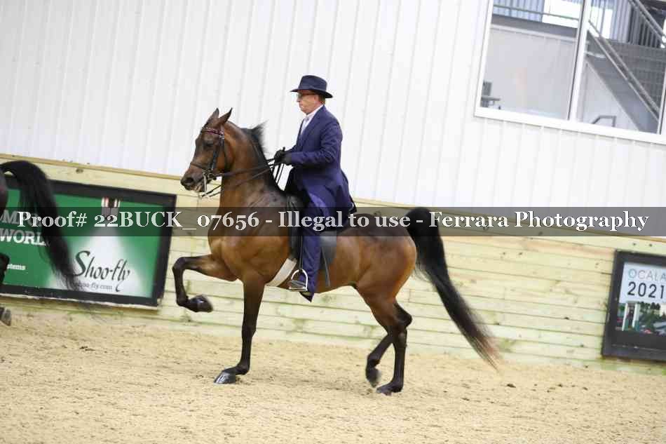 Proof 22BUCK_07656